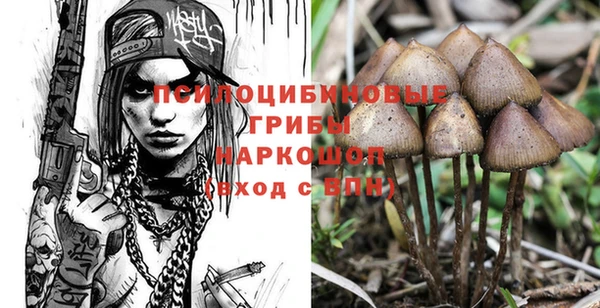 меф Лабытнанги