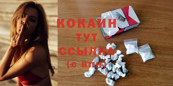 гашик Ладушкин