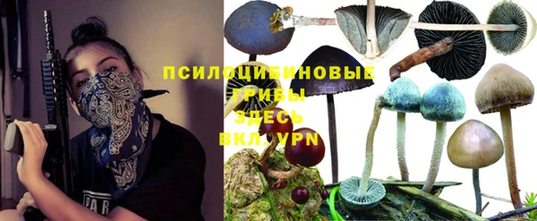меф Лабытнанги