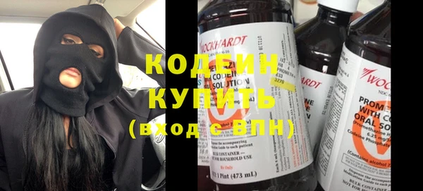 гашик Ладушкин